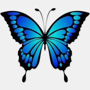 Meet your Posher, Kenley